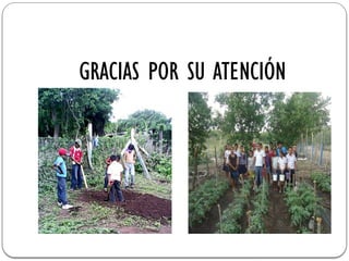 GRACIAS POR SU ATENCIÓN
 