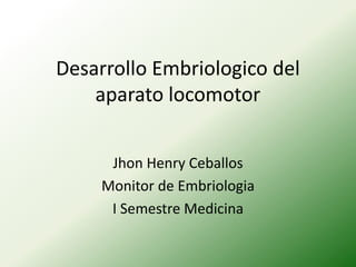 Desarrollo Embriologico del aparato locomotor Jhon Henry Ceballos Monitor de Embriologia I Semestre Medicina 