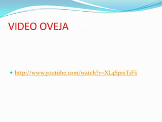 VIDEO OVEJA
 http://www.youtube.com/watch?v=XL4Sp1xT1Fk
 