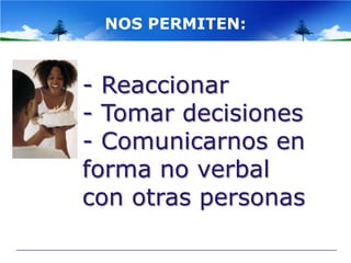 NOS PERMITEN:



- Reaccionar
- Tomar decisiones
- Comunicarnos en
forma no verbal
con otras personas
 