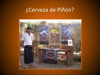 ¿Cerveza de Piñón?
 