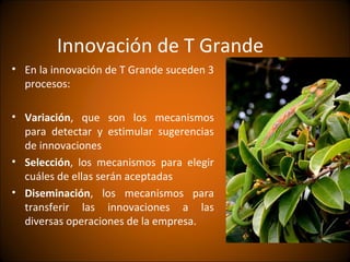Innovación de T Grande
• En la innovación de T Grande suceden 3
  procesos:

• Variación, que son los mecanismos
  para detectar y estimular sugerencias
  de innovaciones
• Selección, los mecanismos para elegir
  cuáles de ellas serán aceptadas
• Diseminación, los mecanismos para
  transferir las innovaciones a las
  diversas operaciones de la empresa.
 