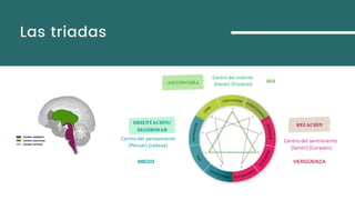 Las triadas
IRA
VERGÜENZAMIEDO
AUTONOMÍA
RELACIÓNORIENTACIÓN/
SEGURIDAD
 