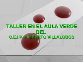 TALLER EN EL AULA VERDE DEL  C.E.I.P. FILIBERTO VILLALOBOS 