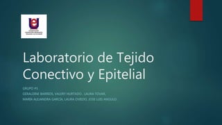 Laboratorio de Tejido
Conectivo y Epitelial
GRUPO #5
GERALDINE BARRIOS, VALERY HURTADO , LAURA TOVAR,
MARÍA ALEJANDRA GARCÍA, LAURA OVIEDO, JOSE LUIS ANGULO.
 
