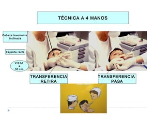 TÉCNICA A 4 MANOS

Cabeza levemente
inclinada

Espalda recta

VISTA
a
30 cm.

TRANSFERENCIA
RETIRA

TRANSFERENCIA
PASA

 