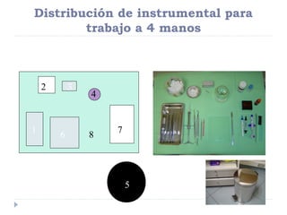 Distribución de instrumental para
trabajo a 4 manos

2

1

3

6

4

8

7

5

 