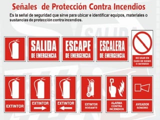El Desarrollo Humano, base de la Formación Integral de la PersonalLos valores en la empresa
 