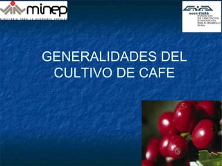 GENERALIDADES DEL
CULTIVO DE CAFE
 