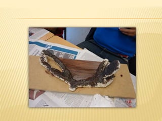 Taller escultura i temps