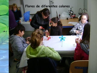 Flores de diferentes colores … 