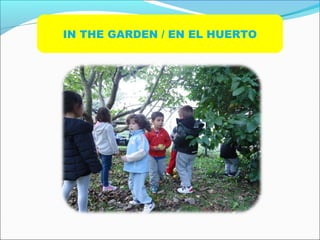 IN THE GARDEN / EN EL HUERTO
 