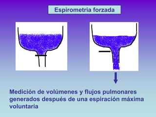 Espirometria forzada




Medición de volúmenes y flujos pulmonares
generados después de una espiración máxima
voluntaria
 