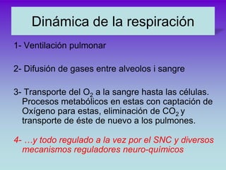 Dinámica de la respiración
1- Ventilación pulmonar

2- Difusión de gases entre alveolos i sangre

3- Transporte del O2 a l...