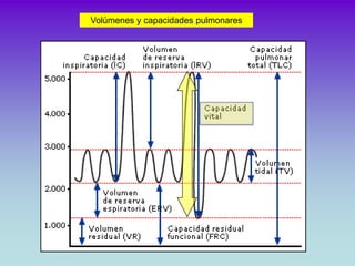 Volúmenes y capacidades pulmonares
 
