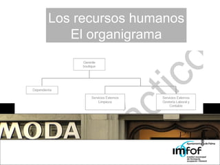 Los recursos humanos El organigrama 