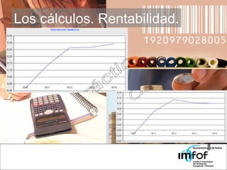 Los cálculos. Rentabilidad. 