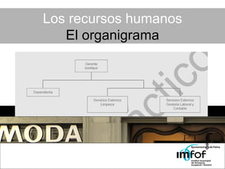 Los recursos humanos El organigrama 