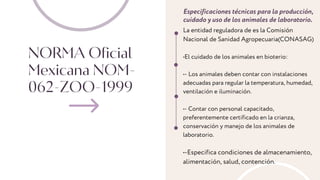 NORMA Oficial
Mexicana NOM-
062-ZOO-1999
Especificaciones técnicas para la producción,
cuidado y uso de los animales de laboratorio.
La entidad reguladora de es la Comisión
Nacional de Sanidad Agropecuaria(CONASAG)
•El cuidado de los animales en bioterio:
•- Los animales deben contar con instalaciones
adecuadas para regular la temperatura, humedad,
ventilación e iluminación.
•- Contar con personal capacitado,
preferentemente certificado en la crianza,
conservación y manejo de los animales de
laboratorio.
•-Especifica condiciones de almacenamiento,
alimentación, salud, contención.
 