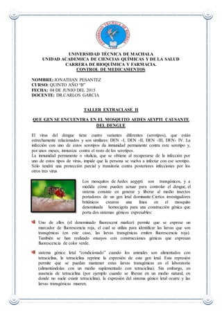 UNIVERSIDAD TÉCNICA DE MACHALA
UNIDAD ACADEMICA DE CIENCIAS QUÍMICAS Y DE LA SALUD
CARRERA DE BIOQUÍMICA Y FARMACIA.
CONTROL DE MEDICAMENTOS
NOMBRE: JONATHAN PESANTEZ
CURSO: QUINTO AÑO “B”
FECHA: 04 DE JUNIO DEL 2015
DOCENTE: DR.CARLOS GARCIA
TALLER EXTRACLASE II
QUE GEN SE ENCUENTRA EN EL MOSQUITO AEDES AEYPTI CAUSANTE
DEL DENGUE
El virus del dengue tiene cuatro variantes diferentes (serotipos), que están
estrechamente relacionados y son similares: DEN -I, DEN -II, DEN -III, DEN- IV. La
infección con uno de estos serotipos da inmunidad permanente contra este serotipo y,
por unos meses, inmuniza contra el resto de los serotipos.
La inmunidad permanente o vitalicia, que se obtiene al recuperarse de la infección por
uno de estos tipos de virus, impide que la persona se vuelva a infectar con ese serotipo.
Sólo tendrá una protección parcial y transitoria contra posteriores infecciones por los
otros tres virus
Los mosquitos de Aedes aegypti son transgénicos, y a
medida cómo pueden actuar para controlar el dengue, el
sistema consiste en generar y liberar al medio insectos
portadores de un gen letal dominante.Ciertos investigadores
británicos crearon una línea en el mosquito
denominada homocigota para una construcción génica que
porta dos sistemas génicos expresables:
Uno de ellos (el denominado fluorescent marker) permite que se exprese un
marcador de fluorescencia roja, el cual se utiliza para identificar las larvas que son
transgénicas (en este caso, las larvas transgénicas emiten fluorescencia roja).
También se han realizado ensayos con construcciones génicas que expresan
fluorescencia de color verde.
sistema génico letal “condicionado” cuando los animales son alimentados con
tetraciclina, la tetraciclina reprime la expresión de este gen letal. Esta represión
permite que se puedan mantener estas larvas transgénicas en el laboratorio
(alimentándolas con un medio suplementado con tetraciclina). Sin embargo, en
ausencia de tetraciclina (por ejemplo cuando se liberan en un medio natural, en
donde no suele existir tetraciclina), la expresión del sistema génico letal ocurre y las
larvas transgénicas mueren.
 