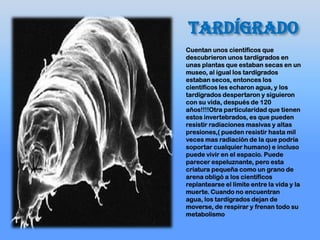 tardígrado
Cuentan unos científicos que
descubrieron unos tardígrados en
unas plantas que estaban secas en un
museo, al igual los tardígrados
estaban secos, entonces los
científicos les echaron agua, y los
tardígrados despertaron y siguieron
con su vida, después de 120
años!!!!Otra particularidad que tienen
estos invertebrados, es que pueden
resistir radiaciones masivas y altas
presiones,( pueden resistir hasta mil
veces mas radiación de la que podría
soportar cualquier humano) e incluso
puede vivir en el espacio. Puede
parecer espeluznante, pero esta
criatura pequeña como un grano de
arena obligó a los científicos
replantearse el límite entre la vida y la
muerte. Cuando no encuentran
agua, los tardígrados dejan de
moverse, de respirar y frenan todo su
metabolismo
 