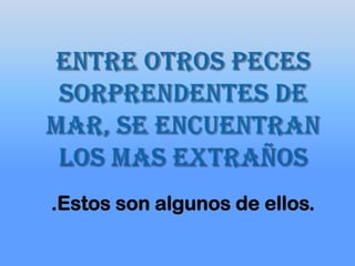 .Estos son algunos de ellos.
 