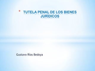 *   TUTELA PENAL DE LOS BIENES
             JURÍDICOS




Gustavo Ríos Bedoya
 