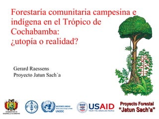Forestaría comunitaria campesina e indígena en el Trópico de Cochabamba: ¿utopía o realidad? Proyecto Forestal “ Jatun Sach’a” Gerard Raessens Proyecto Jatun Sach´a 