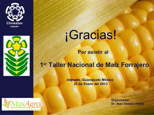 presentacion de bienvenida 1er taller nacional de maiz forrajero presentacion de bienvenida 1er taller nacional de maiz presentacion de bienvenida 1er taller nacional de maiz forrajero presentacion de bienvenida 1er taller nacional de maiz