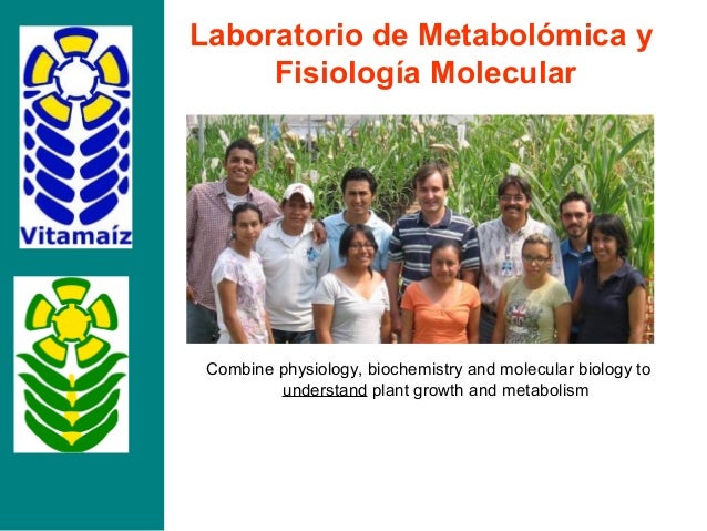 presentacion de bienvenida 1er taller nacional de maiz forrajero presentacion de bienvenida 1er taller nacional de maiz presentacion de bienvenida 1er taller nacional de maiz forrajero presentacion de bienvenida 1er taller nacional de maiz