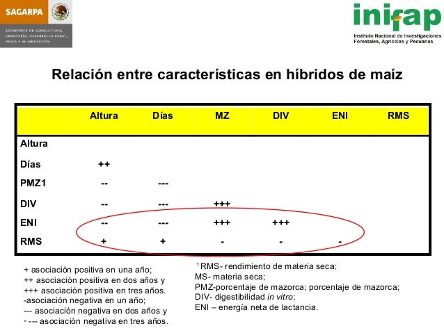 seleccion de hybridos de maiz forrajero y su rendimiento en produccio seleccion de hybridos de maiz forrajero y su rendimiento seleccion de hybridos de maiz forrajero y su rendimiento en produccio seleccion de hybridos de maiz forrajero y su rendimiento