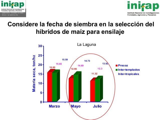 seleccion de hybridos de maiz forrajero y su rendimiento en produccio seleccion de hybridos de maiz forrajero y su rendimiento seleccion de hybridos de maiz forrajero y su rendimiento en produccio seleccion de hybridos de maiz forrajero y su rendimiento