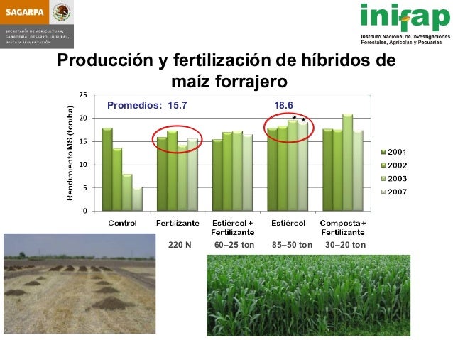 seleccion de hybridos de maiz forrajero y su rendimiento en produccio seleccion de hybridos de maiz forrajero y su rendimiento seleccion de hybridos de maiz forrajero y su rendimiento en produccio seleccion de hybridos de maiz forrajero y su rendimiento