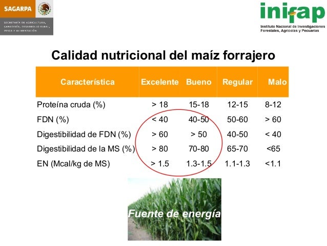 seleccion de hybridos de maiz forrajero y su rendimiento en produccio seleccion de hybridos de maiz forrajero y su rendimiento seleccion de hybridos de maiz forrajero y su rendimiento en produccio seleccion de hybridos de maiz forrajero y su rendimiento