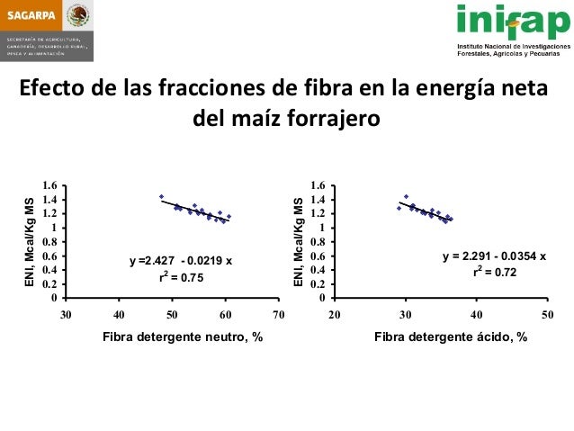seleccion de hybridos de maiz forrajero y su rendimiento en produccio seleccion de hybridos de maiz forrajero y su rendimiento seleccion de hybridos de maiz forrajero y su rendimiento en produccio seleccion de hybridos de maiz forrajero y su rendimiento