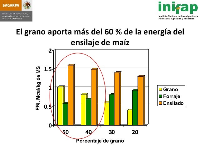 seleccion de hybridos de maiz forrajero y su rendimiento en produccio seleccion de hybridos de maiz forrajero y su rendimiento seleccion de hybridos de maiz forrajero y su rendimiento en produccio seleccion de hybridos de maiz forrajero y su rendimiento