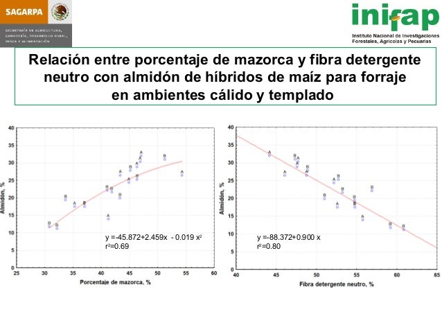 seleccion de hybridos de maiz forrajero y su rendimiento en produccio seleccion de hybridos de maiz forrajero y su rendimiento seleccion de hybridos de maiz forrajero y su rendimiento en produccio seleccion de hybridos de maiz forrajero y su rendimiento