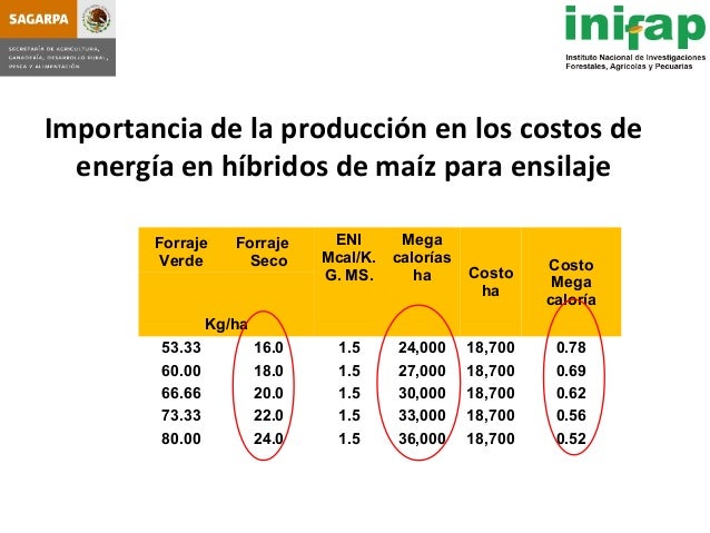 seleccion de hybridos de maiz forrajero y su rendimiento en produccio seleccion de hybridos de maiz forrajero y su rendimiento seleccion de hybridos de maiz forrajero y su rendimiento en produccio seleccion de hybridos de maiz forrajero y su rendimiento