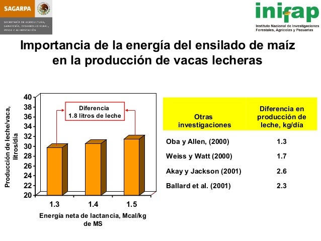 seleccion de hybridos de maiz forrajero y su rendimiento en produccio seleccion de hybridos de maiz forrajero y su rendimiento seleccion de hybridos de maiz forrajero y su rendimiento en produccio seleccion de hybridos de maiz forrajero y su rendimiento