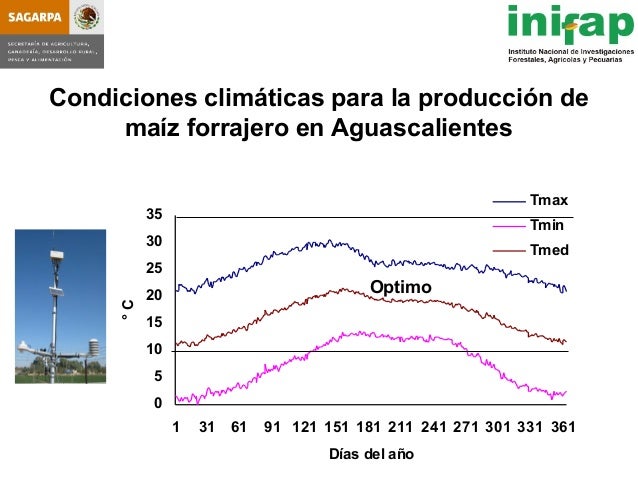 seleccion de hybridos de maiz forrajero y su rendimiento en produccio seleccion de hybridos de maiz forrajero y su rendimiento seleccion de hybridos de maiz forrajero y su rendimiento en produccio seleccion de hybridos de maiz forrajero y su rendimiento