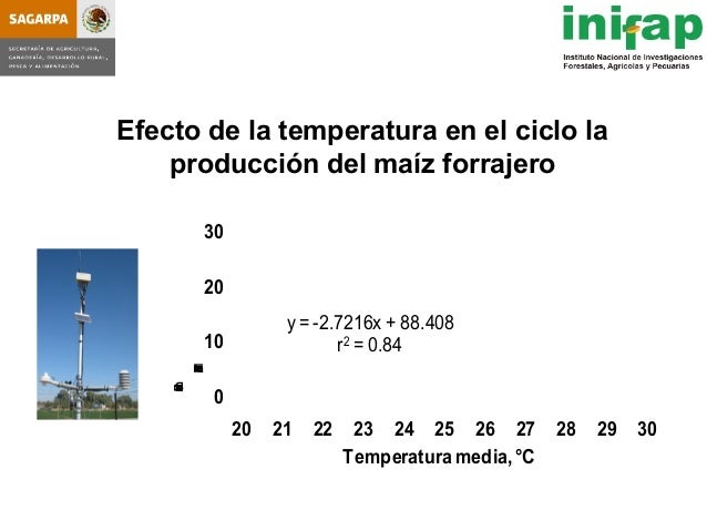 seleccion de hybridos de maiz forrajero y su rendimiento en produccio seleccion de hybridos de maiz forrajero y su rendimiento seleccion de hybridos de maiz forrajero y su rendimiento en produccio seleccion de hybridos de maiz forrajero y su rendimiento