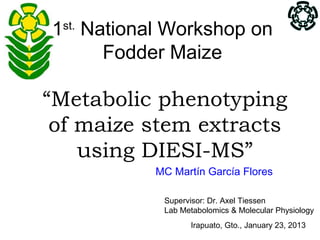 1st. National Workshop on
       Fodder Maize

“Metabolic phenotyping
 of maize stem extracts
    using DIESI-MS”
           MC Martín García Flores

            Supervisor: Dr. Axel Tiessen
            Lab Metabolomics & Molecular Physiology
                  Irapuato, Gto., January 23, 2013
 