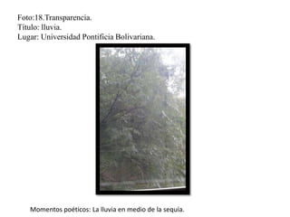 Foto:18.Transparencia.
Título: lluvia.
Lugar: Universidad Pontificia Bolivariana.
Momentos poéticos: La lluvia en medio de la sequía.
 