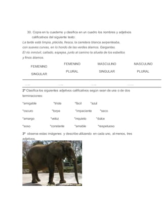 30. Copia en tu cuaderno y clasifica en un cuadro los nombres y adjetivos
calificativos del siguiente texto:
La tarde está limpia, plácida, fresca, la carretera blanca serpenteaba,
con suaves curvas, en lo hondo de las verdes álamos. Gargantas.
El río inmóvil, callado, espejea, junto al camino la silueta de los esbeltos
y finos álamos.
FEMENINO
SINGULAR
FEMENINO
PLURAL
MASCULINO
SINGULAR
MASCULINO
PLURAL
….. ….. ….. ……
2º Clasifica los siguientes adjetivos calificativos según sean de una o de dos
terminaciones:
*amigable *triste *fácil *azul
*oscuro *torpe *impaciente *seco
*amargo *veloz *inquieto *dulce
*soso *constante *amable *respetuoso
3º observa estas imágenes y describe utilizando en cada uno, al menos, tres
adjetivos.
 