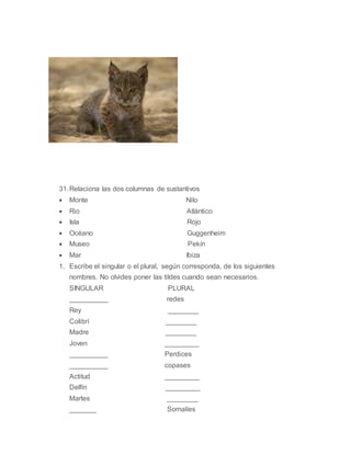 31.Relaciona las dos columnas de sustantivos
 Monte Nilo
 Rio Atlántico
 Isla Rojo
 Océano Guggenheim
 Museo Pekín
 Mar Ibiza
1. Escribe el singular o el plural, según corresponda, de los siguientes
nombres. No olvides poner las tildes cuando sean necesarios.
SINGULAR PLURAL
__________ redes
Rey ________
Colibrí ________
Madre ________
Joven _________
__________ Perdices
__________ copases
Actitud _________
Delfín _________
Martes ________
_______ Somalíes
 