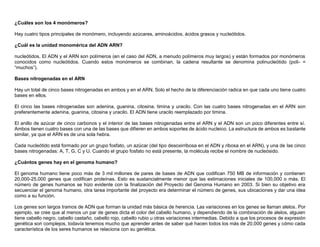 ¿Cuáles son los 4 monómeros?
Hay cuatro tipos principales de monómero, incluyendo azúcares, aminoácidos, ácidos grasos y nucleótidos.
¿Cuál es la unidad monomérica del ADN ARN?
nucleótidos. El ADN y el ARN son polímeros (en el caso del ADN, a menudo polímeros muy largos) y están formados por monómeros
conocidos como nucleótidos. Cuando estos monómeros se combinan, la cadena resultante se denomina polinucleótido (poli- =
“muchos”).
Bases nitrogenadas en el ARN
Hay un total de cinco bases nitrogenadas en ambos y en el ARN. Solo el hecho de la diferenciación radica en que cada uno tiene cuatro
bases en ellos.
El cinco las bases nitrogenadas son adenina, guanina, citosina, timina y uracilo. Con las cuatro bases nitrogenadas en el ARN son
preferentemente adenina, guanina, citosina y uracilo. El ADN tiene uracilo reemplazado por timina.
El anillo de azúcar de cinco carbonos y el interior de las bases nitrogenadas entre el ARN y el ADN son un poco diferentes entre sí.
Ambos tienen cuatro bases con una de las bases que difieren en ambos soportes de ácido nucleico. La estructura de ambos es bastante
similar, ya que el ARN es de una sola hebra.
Cada nucleótido está formado por un grupo fosfato, un azúcar (del tipo desoxirribosa en el ADN y ribosa en el ARN), y una de las cinco
bases nitrogenadas: A, T, G, C y U. Cuando el grupo fosfato no está presente, la molécula recibe el nombre de nucleósido.
¿Cuántos genes hay en el genoma humano?
El genoma humano tiene poco más de 3 mil millones de pares de bases de ADN que codifican 750 MB de información y contienen
20,000-25,000 genes que codifican proteínas. Esto es sustancialmente menor que las estimaciones iniciales de 100,000 o más. El
número de genes humanos se hizo evidente con la finalización del Proyecto del Genoma Humano en 2003. Si bien su objetivo era
secuenciar el genoma humano, otra tarea importante del proyecto era determinar el número de genes, sus ubicaciones y dar una idea
como a su función.
Los genes son largos tramos de ADN que forman la unidad más básica de herencia. Las variaciones en los genes se llaman alelos. Por
ejemplo, se cree que al menos un par de genes dicta el color del cabello humano, y dependiendo de la combinación de alelos, alguien
tiene cabello negro, cabello castaño, cabello rojo, cabello rubio u otras variaciones intermedias. Debido a que los procesos de expresión
genética son complejos, todavía tenemos mucho que aprender antes de saber qué hacen todos los más de 20,000 genes y cómo cada
característica de los seres humanos se relaciona con su genética.
 