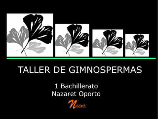 TALLER DE GIMNOSPERMAS
1 Bachillerato
Nazaret Oporto
 
