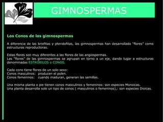 Los Conos de las gimnospermas
A diferencia de las briofitas y pteridofitas, las gimnospermas han desarrollado “flores” como
estructuras reproductoras.
Estas flores son muy diferentes a las flores de las angiospermas.
Las “flores” de las gimnospermas se agrupan en torno a un eje, dando lugar a estructuras
denominadas ESTRÓBILOS o CONOS.
Cada cono tiene flores de un solo sexo:
Conos masculinos: producen el polen.
Conos femeninos: cuando maduran, generan las semillas.
Una misma planta o pie tienen conos masculinos y femeninos: son especies Monoicas.
Una planta desarrolla solo un tipo de conos ( masculinos o femeninos),: son especies Dioicas.
GIMNOSPERMAS
 
