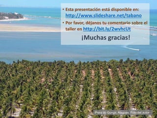 • Esta presentación está disponible en:
http://www.slideshare.net/tabano
• Por favor, déjanos tu comentario sobre el
taller en http://bit.ly/2wvhcUt
¡Muchas gracias!
Praia do Gunga, Alagoas. Foto del autor
 