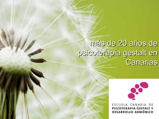 más de 20 años de psicoterapia gestalt en Canarias 
